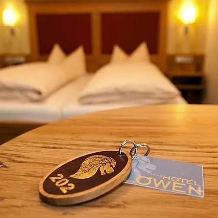 Hotel&gasthof Löwen 4* Ulm